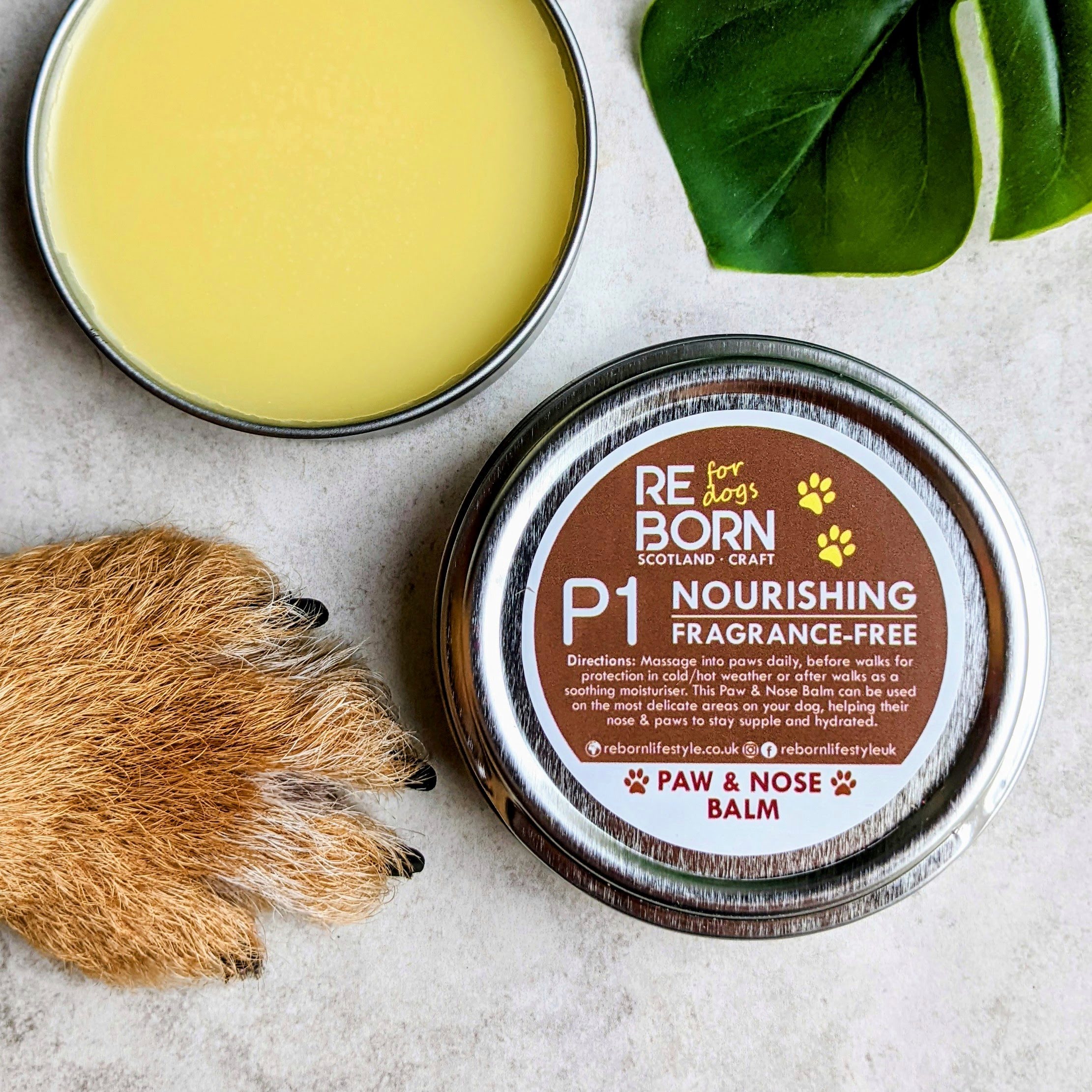 Hydrating Dog Paw & Nose Balm - Lick Safe
